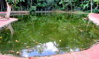 Imagem: Casa na Enseada