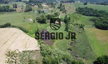 Imagem 4: Sítio com 4h, casa, galpão, piscina e acesso pelo asfalto - Triunfo