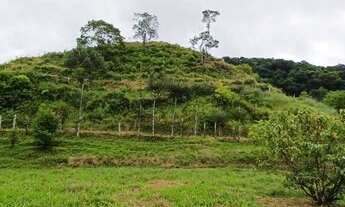 Imagem 4: 20 alqueires com muita pastagem