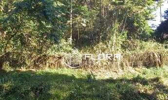 Imagem 4: Terreno à venda, 1200 m² por R$ 90.000 - Várzea das Moças - São Gonçalo/RJ