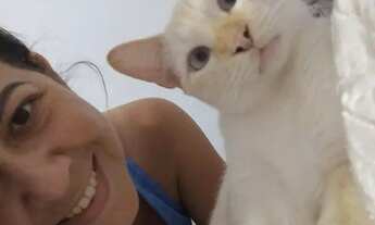 Imagem 2: Gatinho desaparecido no parque Amazonas recompensa