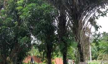 Imagem: Lotes distrito industrial 25 mil