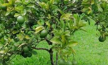 Imagem 3: Belíssima chácara com 3 dormitórios à venda, 1855 m² por R$ 980.000 - Vale das Garças - Ca