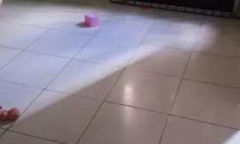 Imagem 2: Apartamento Apartamento com 2 dormitórios