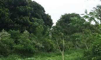 Imagem 3: Jacarei - Terreno Padrão - Chacaras Santa Maria