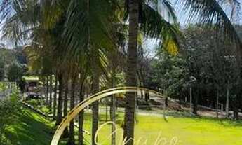 Imagem 3: Chácara em Cambé - Próximo Bratislava - Condominio Green Village -2500m2