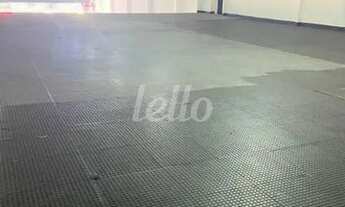 Imagem 5: São Paulo - Galpão/Depósito/Armazém - Pari