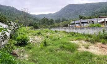 Imagem 4: Terreno medindo 321 m2-Alto do Ribeirão a 2.5 Km do trevo do Erasmo