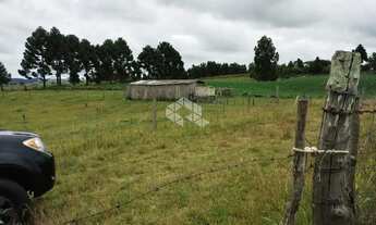 Imagem 4: Ótima área de terras em Lajeado Grande São Francisco de Paula