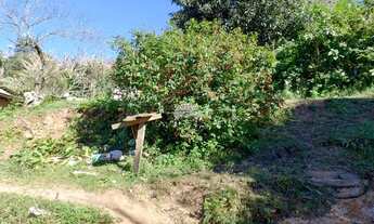 Imagem: Vendas Terreno Almirante Tamandaré PR