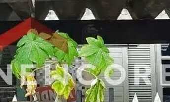 Imagem 2: Sobrado em Avenida Humberto Alencar Castelo Branco - Independência - São Bernardo do Campo