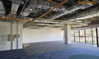 Imagem 3: SALA CAMBUÍ CAMPINAS 220 m2