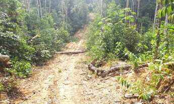 Imagem 7: Sítio 1.500 x 2.000 em estrada de Balbina 300.000