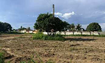 Imagem 3: Lote Comercial Vicinal 288m² (24x12) - Plano Diretor Sul