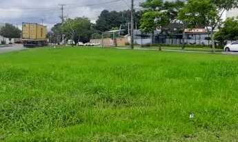 Imagem 4: ÁREA COSTEIRA / OURO FINO