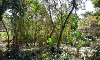 Imagem 2: Terreno à venda, 1459 m² por R$ 600.000,00 - Granja Viana - Cotia/SP