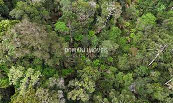 Imagem 5: Lote de Terreno à Venda na Região de Capivari - Campos do Jordão/SP