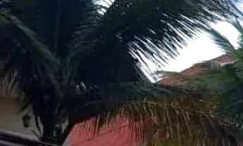 Imagem 3: Guaramiranga / Chale do Rei