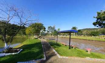 Imagem 7: Comercial para Venda em Londrina, Limoeiro