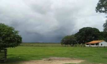 Imagem 6: Fazenda/Sítio/Chácara para venda com 88000 metros quadrados em Centro - Poconé - MT