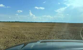 Imagem 4: Fazenda arrenda outra vende 15.900hec planta 1.800hec hoje