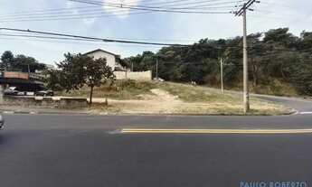 Imagem 2: TERRENO - JARDIM DAS PALMEIRAS - SP