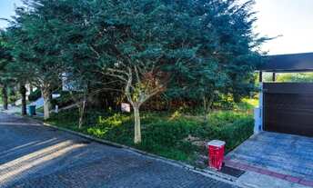 Imagem 2: Terreno à venda, 600 m² por R$ 3.700.000,00 - Jurerê Internacional - Florianópolis/SC