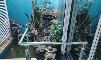 Imagem 3: PRÉDIO - VILA PRUDENTE - SP