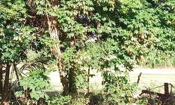 Imagem 2: Lote a venda Chácara com venda por R$1.200.000