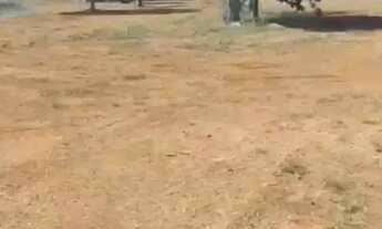 Imagem: Chácara beira lago, sentindo Lageado c