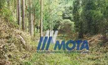 Imagem 6: Chácara à venda, com 7,7 alqueires ou seja 186700 m² por R$ 860.000 - Itaqui de Cima - Cam