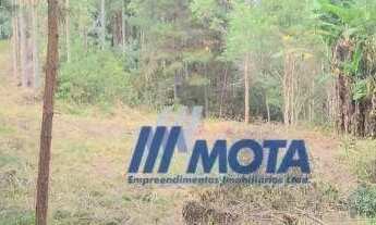 Imagem 5: Chácara à venda, com 7,7 alqueires ou seja 186700 m² por R$ 860.000 - Itaqui de Cima - Cam