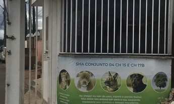 Imagem: Colônia Aguicula Arniqueira