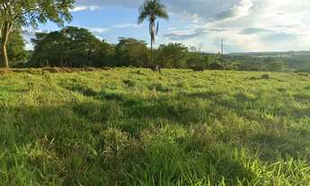 Imagem 3: Chácara de 1.000 metros em Campo Limpo