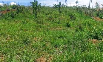 Imagem 3: Vende-se chácara de 2,500 metros quadrados