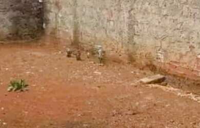 Imagem 3: Casa a venda em Cidade Continental