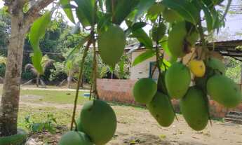 Imagem 4: Vendo ou Troco Terreno