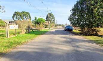 Imagem 5: Terreno Comercial/Residencial para Venda em São José dos Pinhais - PR