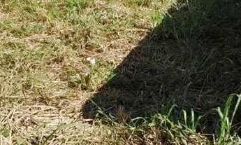 Imagem 4: Casa em Rua Dois - São José do Imbassaí - Maricá/RJ