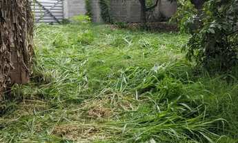 Imagem 7: Oportunidade de terreno, próximo a mercado, escola, rua principal do bairro