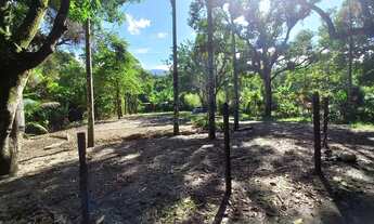 Imagem 2: Terreno plano com mais de 1.000m2