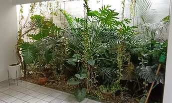 Imagem 6: CASA PARA LOCAÇÃO A 10MIN DA PRAIA