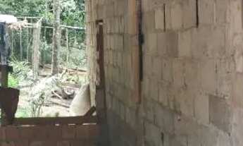 Imagem 3: Sítio Ramal do Urubuí - Presidente Figueiredo AM