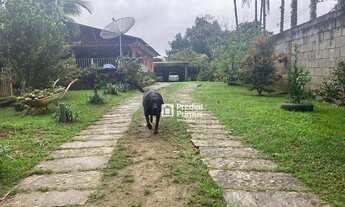 Imagem 3: Chácara à venda, 15000 m² por R$ 650.000,00 - Amparo - Nova Friburgo/RJ