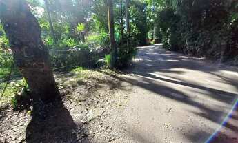 Imagem 4: Terreno plano com mais de 1.000m2