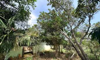 Imagem 3: Sítio com Suíte e Poço Artesiano - Oportunidade Única!