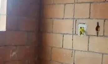 Imagem 5: Apartamento com sacada - Vila Matilde - entrada facilidade direto com a construtora - São