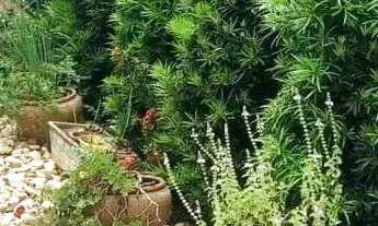 Imagem 3: Um lar que oferece o equilíbrio perfeito entre sofisticação e aconchego. Venha conhecer!