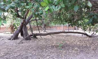 Imagem 2: Sítio Povoado Santa Teresa (1.000m²