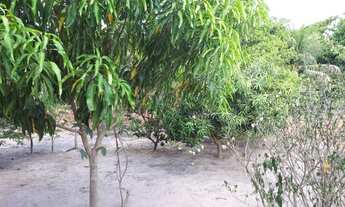 Imagem 7: Sítio Povoado Santa Teresa (1.000m²